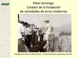 A global rice science partnership GRiSP