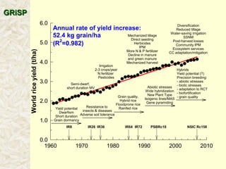 A global rice science partnership GRiSP
