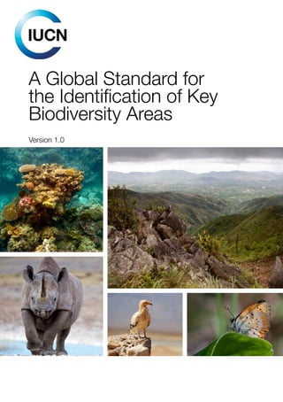 A Global Standard for
the Identification of Key
Biodiversity Areas
Version 1.0
 
