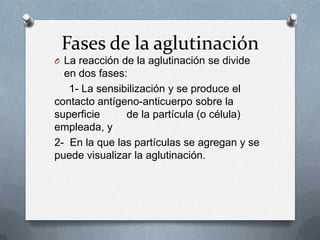 Fases de la aglutinación
O La reacción de la aglutinación se divide
en dos fases:
1- La sensibilización y se produce el
contacto antígeno-anticuerpo sobre la
superficie de la partícula (o célula)
empleada, y
2- En la que las partículas se agregan y se
puede visualizar la aglutinación.
 