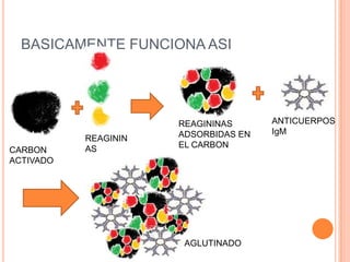 BASICAMENTE FUNCIONA ASI




                      REAGININAS      ANTICUERPOS
                      ADSORBIDAS EN   IgM
           REAGININ
           AS         EL CARBON
CARBON
ACTIVADO




                       AGLUTINADO
 