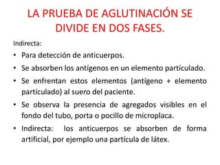 LA PRUEBA DE AGLUTINACIÓN SE 
DIVIDE EN DOS FASES. 
Indirecta: 
• Para detección de anticuerpos. 
• Se absorben los antígenos en un elemento partículado. 
• Se enfrentan estos elementos (antígeno + elemento 
partículado) al suero del paciente. 
• Se observa la presencia de agregados visibles en el 
fondo del tubo, porta o pocillo de microplaca. 
• Indirecta: los anticuerpos se absorben de forma 
artificial, por ejemplo una partícula de látex. 
 