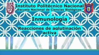 Instituto Politécnico Nacional
Escuela Nacional de Ciencias Biológicas
Inmunología
Reacciones de aglutinación
activa
 