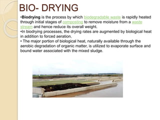 TREATMENT OF SOLID WASTE