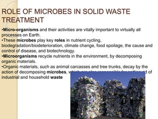TREATMENT OF SOLID WASTE