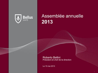 Assemblée annuelle
2013
Roberto Bellini
Président et chef de la direction
Le 15 mai 2013
1
 