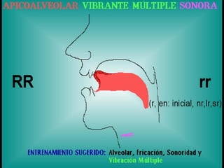 Agmal trastornos del habla | PDF