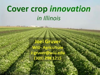Cover crop innovation
         in Illinois


       Joel Gruver
       WIU- Agriculture
      J-gruver@wiu.edu
        (309) 298 1215
 