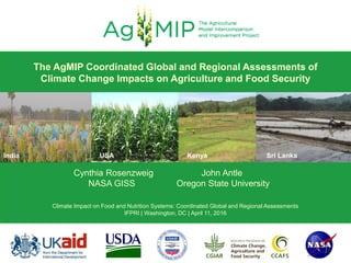 India USA Kenya Sri Lanka
Cynthia Rosenzweig John Antle
NASA GISS Oregon State University
Climate Impact on Food and Nutrition Systems: Coordinated Global and Regional Assessments
IFPRI | Washington, DC | April 11, 2016
The AgMIP Coordinated Global and Regional Assessments of
Climate Change Impacts on Agriculture and Food Security
 