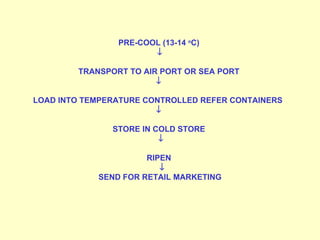 PRE-COOL (13-14  o C)       TRANSPORT TO AIR PORT OR SEA PORT       LOAD INTO TEMPERATURE CONTROLLED REFER CONTAINERS       STORE IN COLD STORE          RIPEN        SEND FOR RETAIL MARKETING     