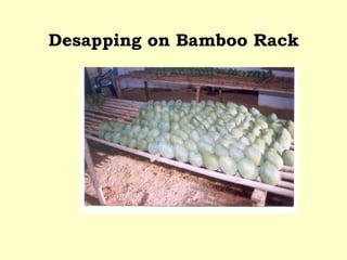 Desapping on Bamboo Rack 