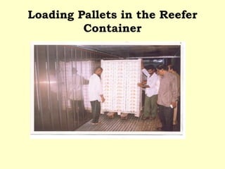 Loading Pallets in the Reefer Container 