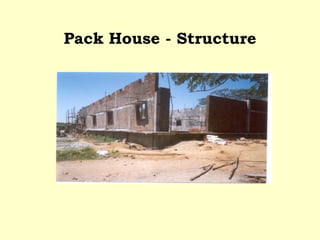 Pack House - Structure 