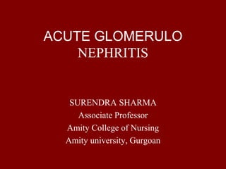 ACUTE GLOMERULO
NEPHRITIS
SURENDRA SHARMA
Associate Professor
Amity College of Nursing
Amity university, Gurgoan
 