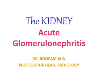 The KIDNEY
Acute
Glomerulonephritis
DR. ROOPAM JAIN
PROFESSOR & HEAD, PATHOLOGY
 
