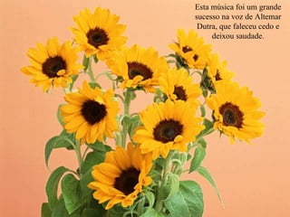 Esta música foi um grande sucesso na voz de Altemar Dutra, que faleceu cedo e deixou saudade. 