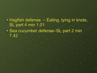 Hagfish defense. – Eating, tying in knots, SL part 4 min 1.01 Sea cucumber defense–SL part 2 min 7.42 