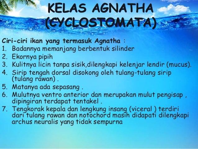 Agnatha pptx1 Agnatha pptx1