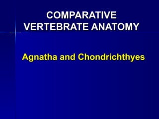 COMPARATIVE
VERTEBRATE ANATOMY


Agnatha and Chondrichthyes
 