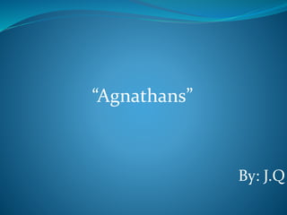“Agnathans”
By: J.Q
 