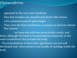 Ostracoderms
- appeared in the very Late Cambrian
- they had complex eye muscles and dentin like tissues.
- a few possessed paired appendages.
- They were the first vertebrates to possess an intricate lateral-
line system,
- an inner ear with two semicircular canals, and
bone, although the bone is located almost exclusively in the
outer exoskeleton that encases the body.
- The endoskeleton of these later agnathans was not well
developed and, when present was usually of cartilage inside the
body.
 