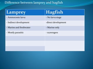 - Difference between lamprey and hagfish
Lamprey Hagfish
- Ammocoete larva - No larva stage
- Indirect development -direct development
- Marine and freshwater - Marine only
- Mostly parasitic - scavengers
 