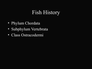 Fish History
• Phylum Chordata
• Subphylum Vertebrata
• Class Ostracodermi
 