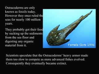 Ostracoderms are only
known as fossils today.
However they once ruled the
seas for nearly 100 million
years.
They probably got their food
by sucking up the sediments
from the sea floor and
digesting any organic
material from it.
Scientists speculate that the Ostracoderms’ heavy armor made
them too slow to compete as more advanced fishes evolved.
Consequently they eventually became extinct.
 