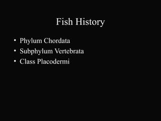 Fish History
• Phylum Chordata
• Subphylum Vertebrata
• Class Placodermi
 