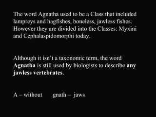 The word Agnatha used to be a Class that included
lampreys and hagfishes, boneless, jawless fishes.
However they are divided into the Classes: Myxini
and Cephalaspidomorphi today.
Although it isn’t a taxonomic term, the word
Agnatha is still used by biologists to describe any
jawless vertebrates.
A – without gnath – jaws
 