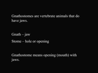 Gnathostomes are vertebrate animals that do
have jaws.
Gnath – jaw
Stome – hole or opening
Gnathostome means opening (mouth) with
jaws.
 