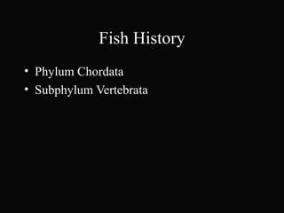 Fish History
• Phylum Chordata
• Subphylum Vertebrata
 