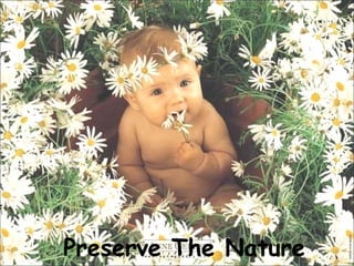 Preserve The Nature