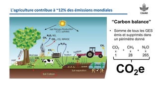 Decision support tools for climate change mitigation interventions in agriculture