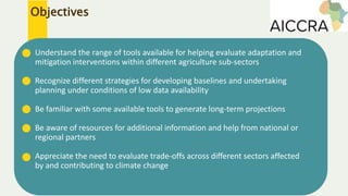 Decision Support Tools: Application in policy, planning and implementation