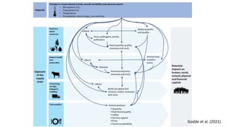 Decision Support Tools: Application in policy, planning and implementation