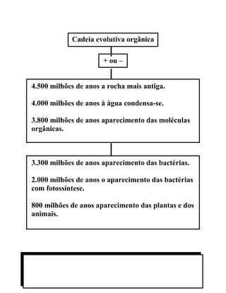 Cadeia evolutiva orgânica

                      + ou –


4.500 milhões de anos a rocha mais antiga.

4.000 milhões de anos à água condensa-se.

3.800 milhões de anos aparecimento das moléculas
orgânicas.



3.300 milhões de anos aparecimento das bactérias.

2.000 milhões de anos o aparecimento das bactérias
com fotossíntese.

800 milhões de anos aparecimento das plantas e dos
animais.
 