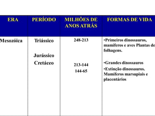 ERA PERÍODO MILHÕES DE
ANOS ATRÁS
FORMAS DE VIDA
Mesozóica Triássico
Jurássico
Cretáceo
248-213
213-144
144-65
•Primeiros dinossauros,
mamíferos e aves Plantas de
folhagens.
•Grandes dinossauros
•Extinção dinossauros.
Mamíferos marsupiais e
placentários
 