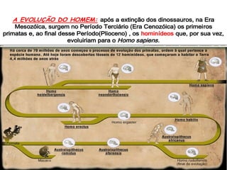 A EVOLUÇÃO DO HOMEM: após a extinção dos dinossauros, na Era
Mesozóica, surgem no Período Terciário (Era Cenozóica) os primeiros
primatas e, ao final desse Período(Plioceno) , os hominídeos que, por sua vez,
evoluiriam para o Homo sapiens.
A EVOLUÇÃO DO HOMEM: após a extinção dos dinossauros, na Era
Mesozóica, surgem no Período Terciário (Era Cenozóica) os primeiros
primatas e, ao final desse Período(Plioceno) , os hominídeos que, por sua vez,
evoluiriam para o Homo sapiens.
 