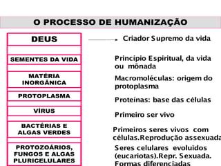 O PROCESSO DE HUMANIZAÇÃO
DEUS
DEUS
SEMENTES DA VIDA
MATÉRIA
INORGÂNICA
PROTOPLASMA
VÍRUS
BACTÉRIAS E
ALGAS VERDES
PROTOZOÁRIOS,
FUNGOS E ALGAS
PLURICELULARES
Criador Supremo da vida
Princípio Espiritual, da vida
ou mônada
Macromoléculas: origem do
protoplasma
Proteínas: base das células
Primeiro ser vivo
Primeiros seres vivos com
células.Reprodução assexuada
Seres celulares evoluidos
(eucariotas).Repr. Sexuada.
 