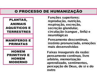 O PROCESSO DE HUMANIZAÇÃO
PLANTAS,
ANIMAIS
AQUÁTICOS E
TERRESTRES
Funções superiores:
reprodução, nutrição,
respiração, excreção,
secreção glandular,
circulação (sangue , linfa) e
neurológicas
MAMÍFEROS E
PRIMATAS
Pensamento descontínuo,
instinto pronunciado, emoções
mais desenvolvidas
HOMEM
PRIMITIVO E
HOMEM
MODERNO
Faixas inaugurais da razão:
pensamento contínuo, livre
arbítrio, memorização
aprendizado, sentimentos,
percepção de Deus, de si e do
outro
 