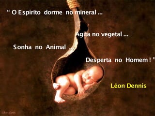 “ O Espírito dorme no mineral ...
Desperta no Homem ! ”
Agita no vegetal ...
Sonha no Animal ...
Léon Dennis
 