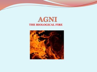 THE BIOLOGICAL FIRE
 