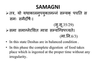 Samni Chart concept of Agni | PPTX