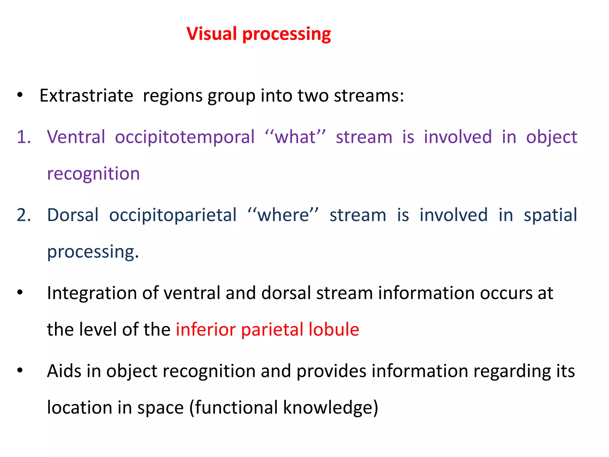 Visual processing
• Extrastriate regions group into two streams:
1. Ventral occipitotemporal ‘‘what’’ stream is involved in object
recognition
2. Dorsal occipitoparietal ‘‘where’’ stream is involved in spatial
processing.
• Integration of ventral and dorsal stream information occurs at
the level of the inferior parietal lobule
• Aids in object recognition and provides information regarding its
location in space (functional knowledge)
 