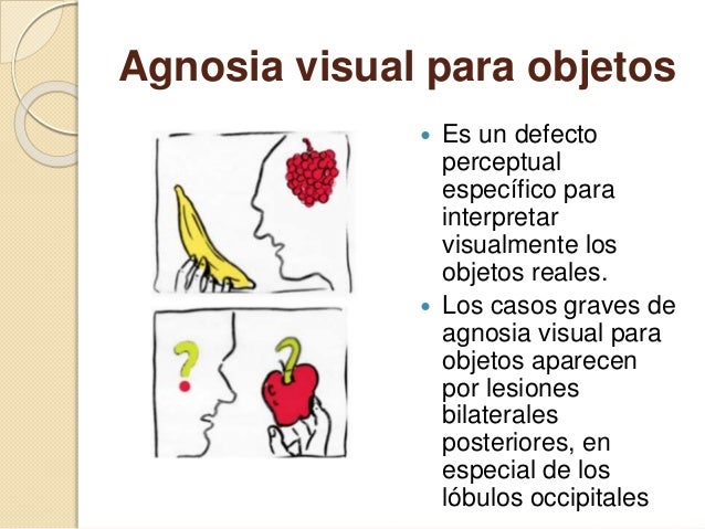 Agnosias neuropsicologia Psicofisiologia
