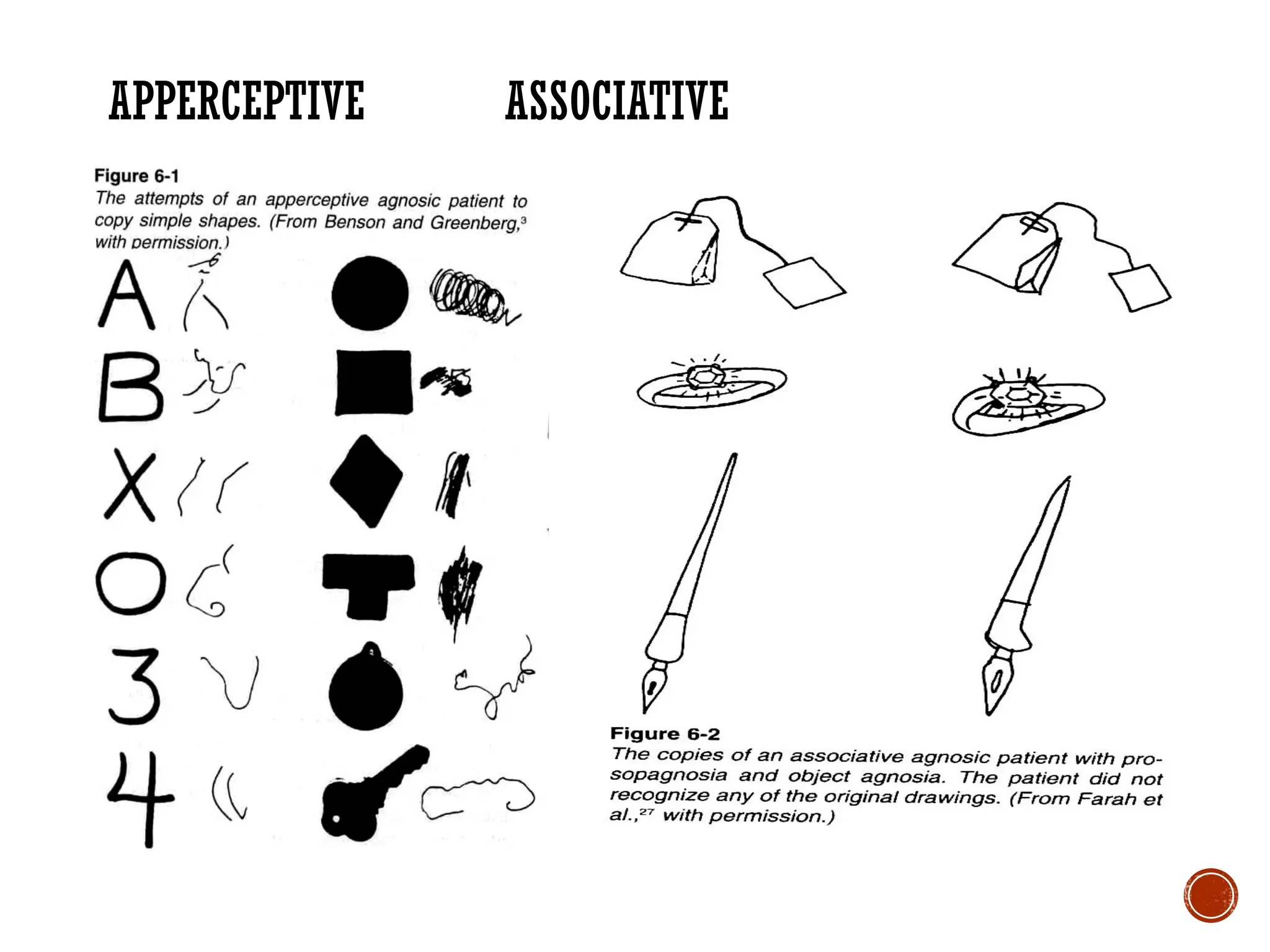 APPERCEPTIVE ASSOCIATIVE
 