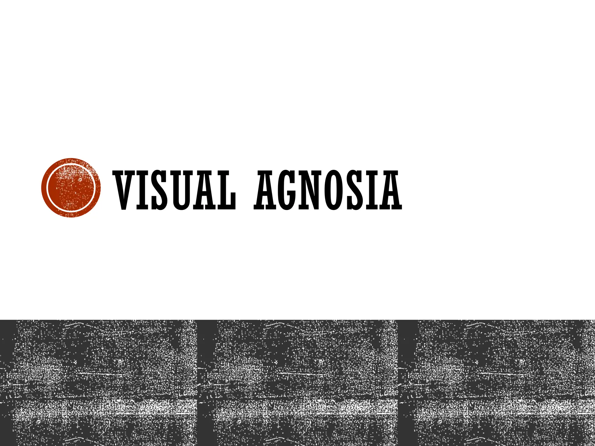 VISUAL AGNOSIA
 