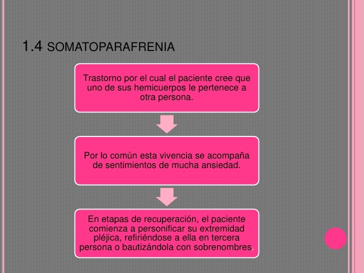 Agnosias somáticas(exposicion)