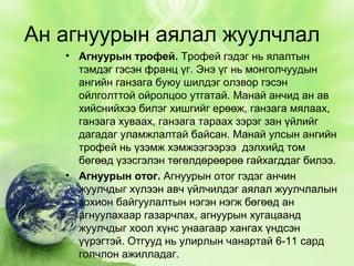 Ан агнуурын аялал жуулчлал
• Агнуурын трофей. Трофей гэдэг нь ялалтын
тэмдэг гэсэн франц үг. Энэ үг нь монголчуудын
ангийн ганзага буюу шилдэг олзвор гэсэн
ойлголттой ойролцоо утгатай. Манай анчид ан ав
хийснийхээ билэг хишгийг ерөөж, ганзага мялаах,
ганзага хуваах, ганзага тараах зэрэг зан үйлийг
дагадаг уламжлалтай байсан. Манай улсын ангийн
трофей нь үзэмж хэмжээгээрээ дэлхийд том
бөгөөд үзэсгэлэн төгөлдөрөөрөө гайхагддаг билээ.
• Агнуурын отог. Агнуурын отог гэдэг анчин
жуулчдыг хүлээн авч үйлчилдэг аялал жуулчлалын
зохион байгуулалтын нэгэн нэгж бөгөөд ан
агнуулахаар газарчлах, агнуурын хугацаанд
жуулчдыг хоол хүнс унаагаар хангах үндсэн
үүрэгтэй. Отгууд нь улирлын чанартай 6-11 сард
голчлон ажилладаг.

 